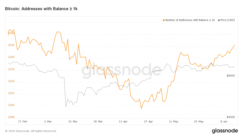 glassnode-studio_bitcoin-addresses-with-balance-%e2%89%a5-1-k