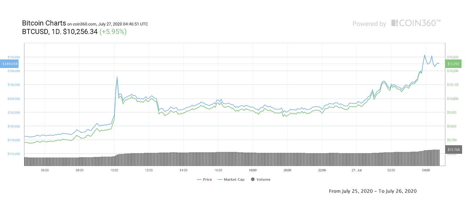 Bitcoin daily price chart